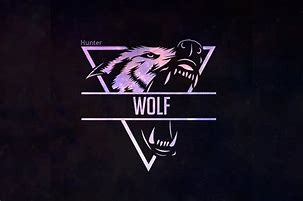 Image result for Galaxy Wolf Logo