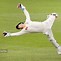 Image result for Wicket keeper Games