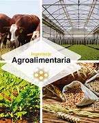 Image result for agroapimentario