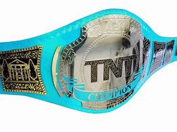 Image result for AEW TNT Belt