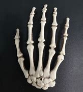 Image result for Halloween Skeleton Hand
