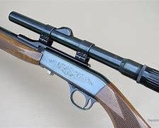 Image result for Browning 22 Rifle Scope