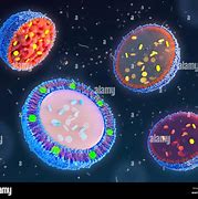 Image result for Nanoparticles Types
