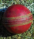 Image result for A Cricket Bat