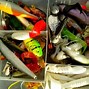 Image result for Hooks and Plastic Clips