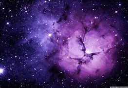 Image result for Purple Screen Background