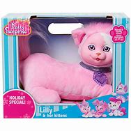 Image result for Kitty Toy Alasia