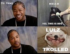 Image result for Yes Dawgs Meme