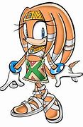 Image result for Tikal the Echidna Icon