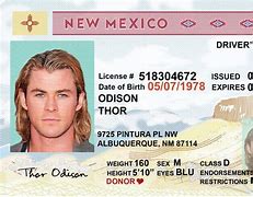 Image result for New Mexico Real ID