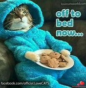Image result for Goodnight Cat BBG Meme