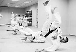 Image result for Aikido Fight