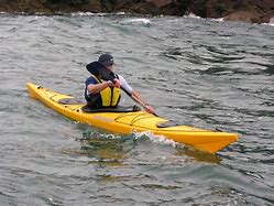 Image result for Rudder for Pelican Kayak