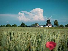 Image result for Netherlands Countryside