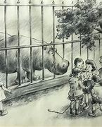 Image result for Zoo Profesional Drawing