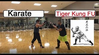 Image result for Tigerstyle Kung Fu Techniques