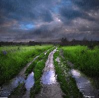 Image result for Free Animated Rain Screensaver