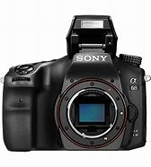 Image result for Sony APS-C