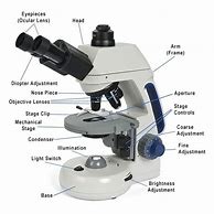 Image result for Compound Optical Microscope