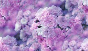 Image result for Cute Pastel Spring Backgrounds
