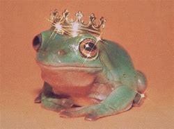 Image result for Frog Cult
