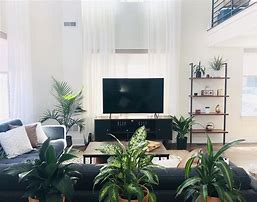 Image result for Living Room Setup Front View