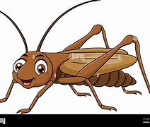 Image result for Cartoon Crickets Chirping