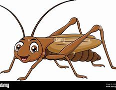 Image result for Illustration of a Cricket Insect Made From Bottles