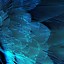 Image result for Phone Backgrounds Feather