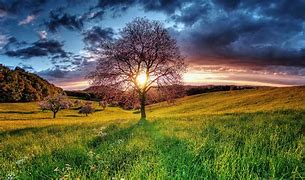 Image result for Nature Wallpapers HD Windows 7