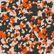 Image result for Arctic Camo
