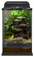 Image result for Frog Terraniums with Infinity Mirror Effect