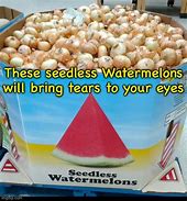 Image result for How to Protect Your Watermelon Farm Meme