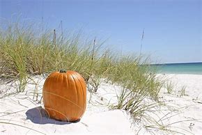 Image result for Fall Beach Scenes