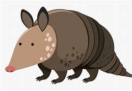 Image result for Cajun Bayou Armadillo Clip Art