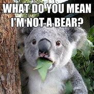 Image result for Kangaroo Koala Meme
