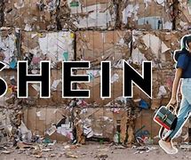 Image result for Shein Pollution