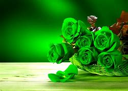 Image result for iPhone 15 Rose