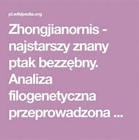Image result for co_oznacza_zhongjianornis
