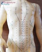 Image result for Acupuncture Points On Body