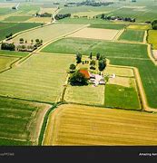 Image result for Netherlands Farm