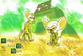 Image result for Pinky and the Brain Fan Art