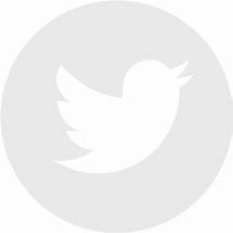 Image result for 2D TRANSPARENT White Twitter Logo