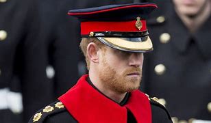 Image result for Prince Harry Military Pic with Beard