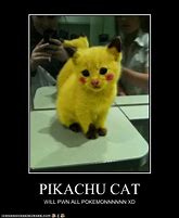 Image result for Pikachu Cat Meme