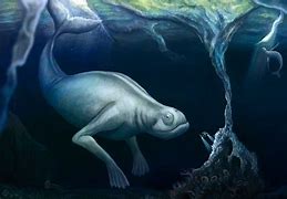 Image result for Ningen Sea Monster