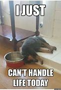 Image result for Funny Photo Fails