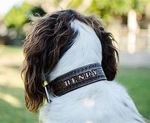 Image result for Cool Dog Collars