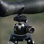 Image result for Rifle Tripods for Hunting