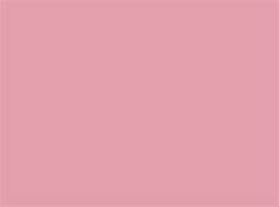 Image result for Pink Paint Colors